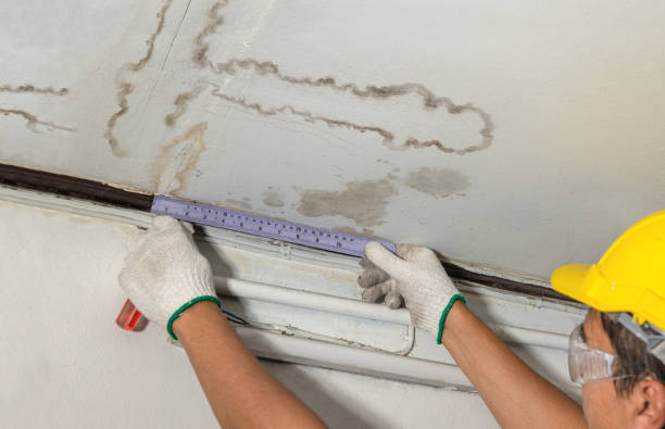 Affordable Water Damage Repair solutions in Parker City, IN